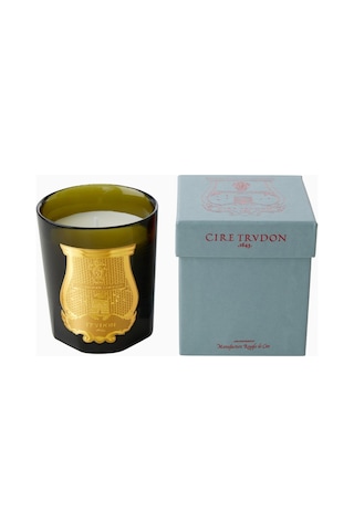 Trudon Solis Rex Classic Lüks Kokulu Mum, 60 Saat Yanma Süresi Yeşil