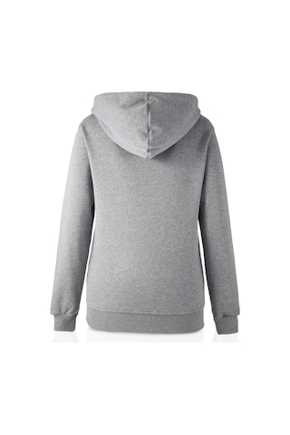 Gsstore Gs Şampiyonlar Ligi Ucl Premium Hoodie 230614 Antrasit