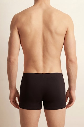 Auw Erkek Kıvırma Bel Pamuklu Modal Basic Boxer 3'lü - Softfit Siyah