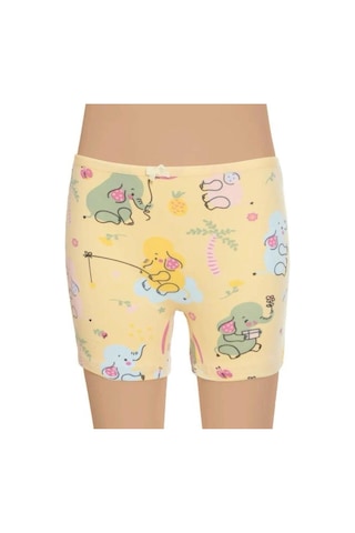 Kız Çocuk Boxer Desenli 6'lı Paket Karışık Desen-gümüş 3072 Çok Renkli