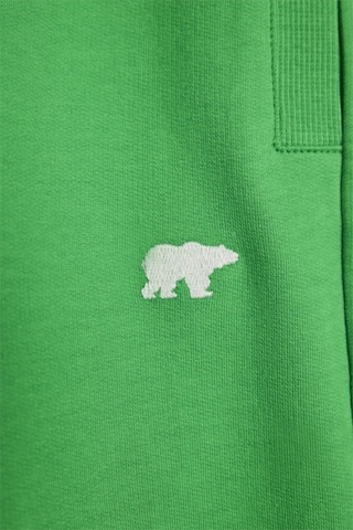 Bad Bear Holmer Yeşil Çocuk Şort-Yeşil