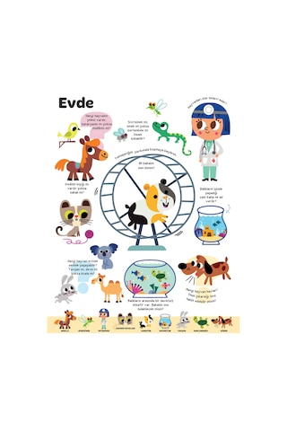 Büyük Sorular Kitabım Hayvanlar - Sandra Lebrun et Loic Audrain - Yapı Kredi Yayınları