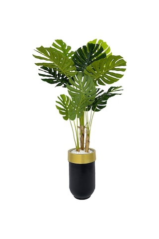 Biçiçek Yapay Monstera Ağacı Deve Tabani 170 Cm Si̇yah Gold Darbuka Saksıda