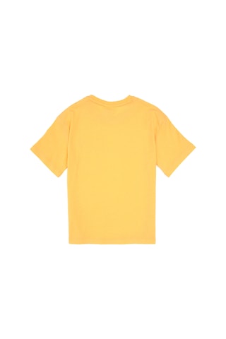 U.S. Polo Assn. Erkek Çocuk Turuncu Bisiklet Yaka Tişört 50314946-VR244
