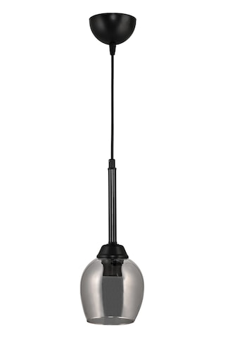 Dede Tekli Volga Sarkıt Antrasit Siyah Füme Camlı