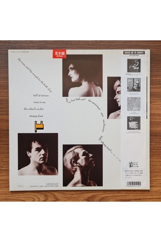 Siouxsie & The Banshees Through The Looking Glass