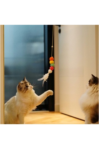 Elastik Yapışkanlı Kedi Oyuncağı Çanlı Esnek Oltalı Kedi Oyunu