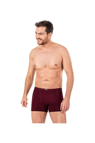 Kompedan Erkek Pamuklu Modal Boxer 11897-Bordo