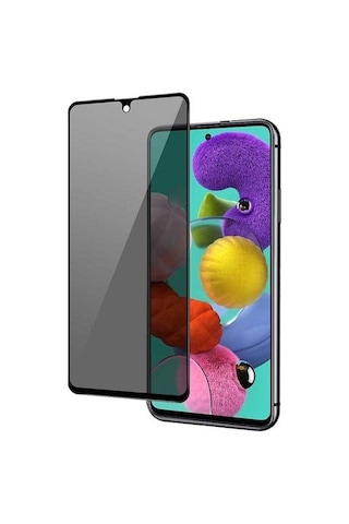 Logis Xiaomi Redmi Note 10 Pro Prıvacy Glass A+ Hayalet Ekran Koruyucu