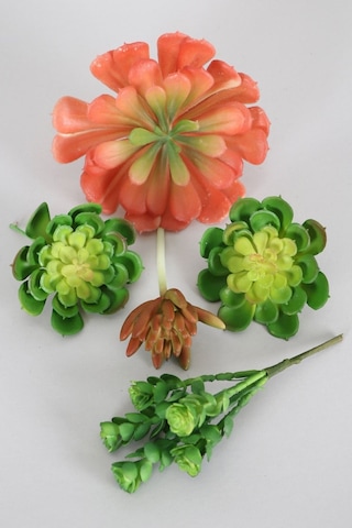 Yapay Succulent Sukulent Set - 5