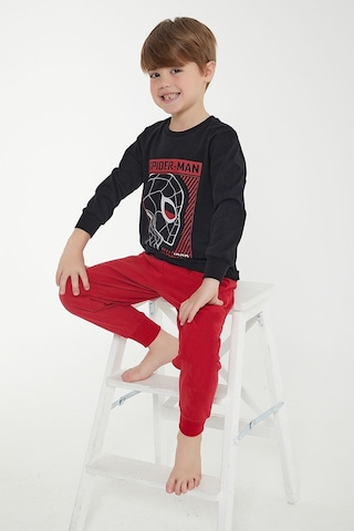 Spıder-Man Erkek Çocuk İkili Takım