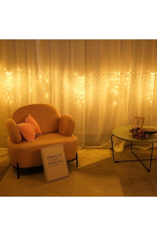 Sones Tavuskuşu Işıkları Led Balık Ağı Işıkları Açık Hava Su Geçirmez Işık Dizisi Tatil Dekorasyon Işıkları, Ab Fişi Sıcak Beyaz Işık