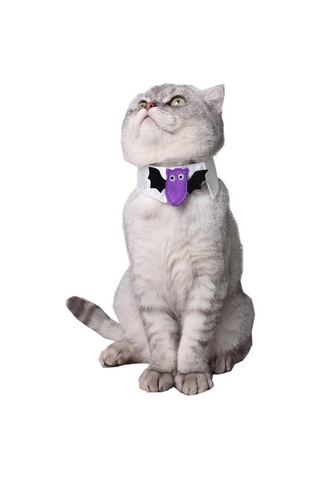 Homyl 2 Adet Pet Papyon Köpek Kedi Ayarlanabilir Boyun Kravat Camgöbeği