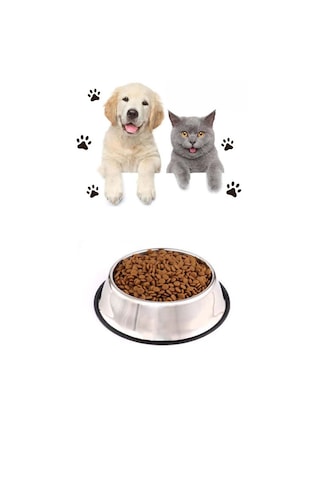 Hayvanlar Için Çelik Kaydırmaz Büyük Boy Su Mama Vb Kabı Kedi Köpek Su Mama Kabı Alt Taban 21,5 Cm