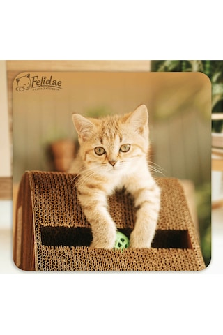 Oluklu Mukavva, Kedi Tırmalama Kanepesi Dikey Tırmalama / 39x59x24cm Large - Cs7 Dw
