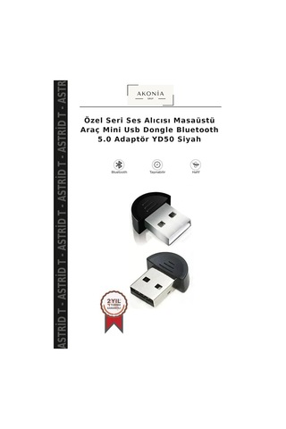 Özel Seri Ses Alıcısı Masaüstü Araç Mini Usb Dongle Bluetooth 5.0 Adaptör Yd50 Siyah