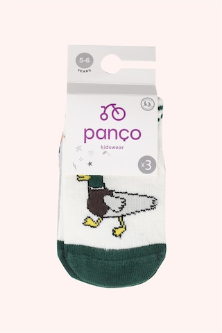 Panço Erkek Bebek 3'lü Patik Çorap Seti renkli