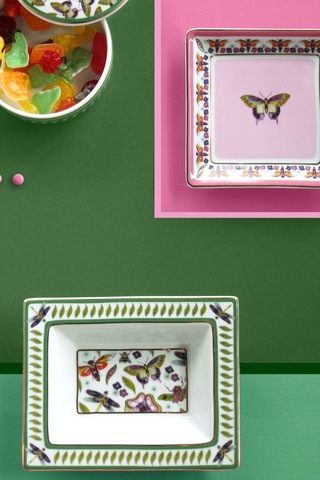 Amazzonia Mini Tepsi 15 Cm Çok Renkli