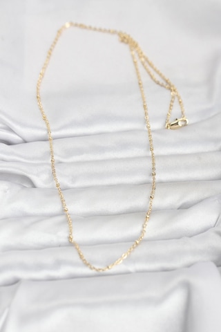 14k Gold Renk Burgu 60 Cm Kadın Kolye Cm Renkli 81684570