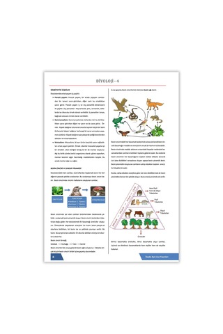 Açık Öğretim Lisesi 4. Dönem Tüm Dersler Kitabı