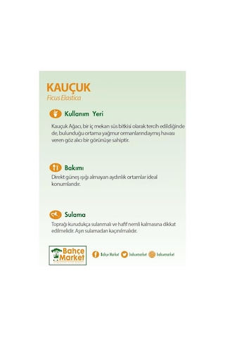 Kauçuk Tekli Yeşil