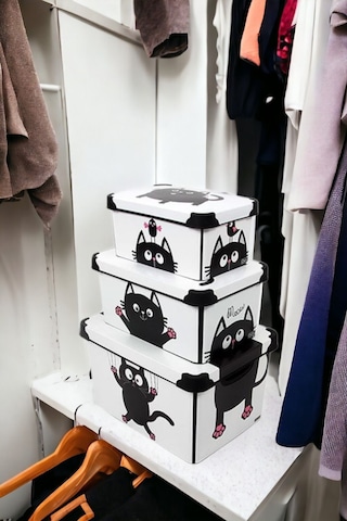 Style Box Meowdesenli 3 Parça Dekoratif Saklama Kutusu Seti Çok Renkli