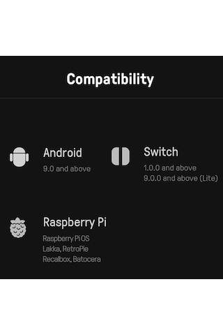 Bloomnest 8bitdo Lite 2 Bt Gamepad - Nintendo Switch, Lite, Android, Raspberry Pi İçin Ultra Taşınabilir - 175