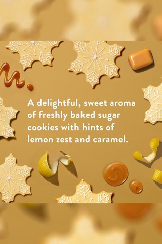 Native Sugar Cookie Alüminyumsuz Stick Deodorant 75gr