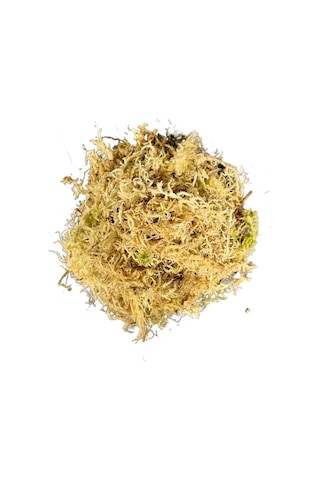 Sphagnum Yosunu 10 Lt