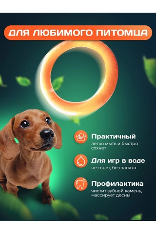 Tenet Köpekler İçin 30 Cm Halka Puller Oyuncağı 177681179