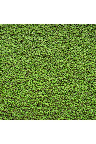 Cichlid Green Granules 1L ve Spirulina Garlic 250ml Ciklet Yemi