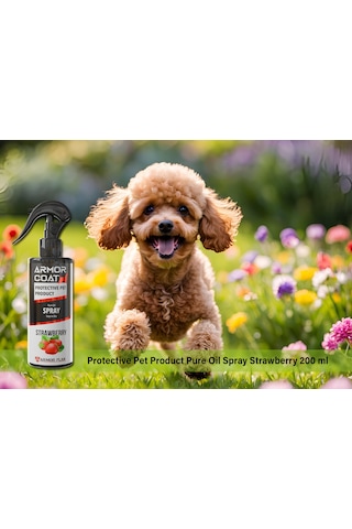 Armor Coat Köpek Bakım Spreyi Çilek Kokulu 200 ML