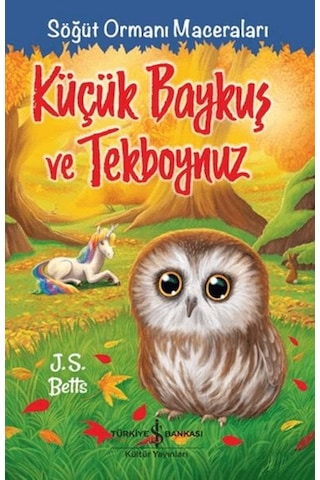 Küçük Baykuş Ve Tekboynuz - Söğüt Ormanı Maceraları - Msbu-763846 Küçük Baykuş Ve Tekboynuz - Söğüt Ormanı Maceraları - Msbu-763846