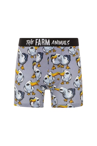 Farm Animals Seagull Desenli Boxer Çok Renkli