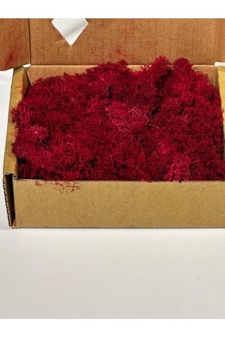 Reindermoss Şoklanmış Norveç Yosunu Terarium Yosunu Fushia 100 Gr.