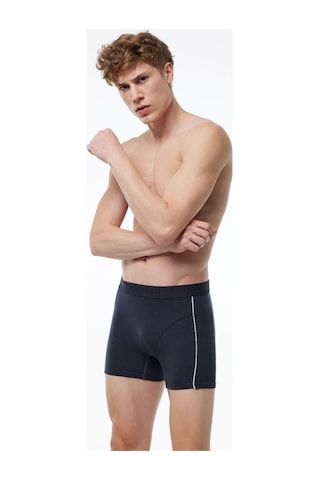 Malabadi Erkek Paça Lastikli Modal Biyeli Boxer 017 001