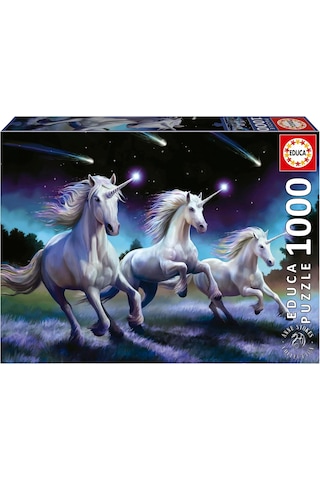 Educa 1000 Parça Kayan Yıldız Puzzle - 19919 - Shooting Stars Anne Stokes