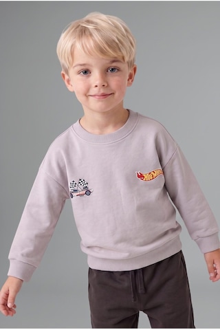 Defacto Hot Wheels Lisanslı Baskılı Bisiklet Yaka Basic Sweatshirt Ve Jogger Eşofman Altı 2li Takım Erkek Bebek I0151a526wngr91 Gri-gr91