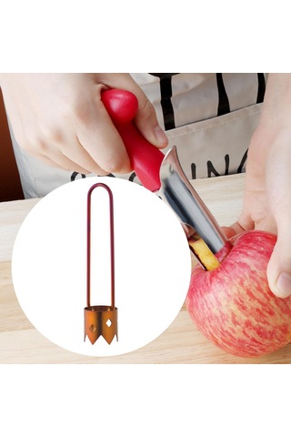 Homyl Paslanmaz Çelik Meyve Çekirdek Çıkarıcı Kırmızı