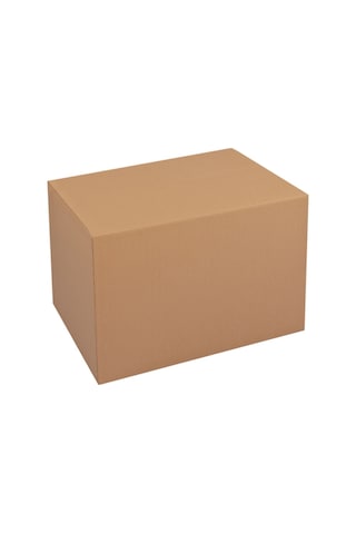 Packanya 30 x 20 x 20 - 10 Adet Çift Oluklu Taşıma Kolisi