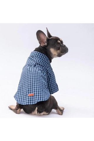 Pawstar Luss Mavi Kedi Ve Küçük Irk Köpek Gömleği