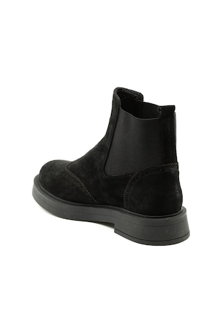 Dexter Tp811-70 Renkli Çok Renkli