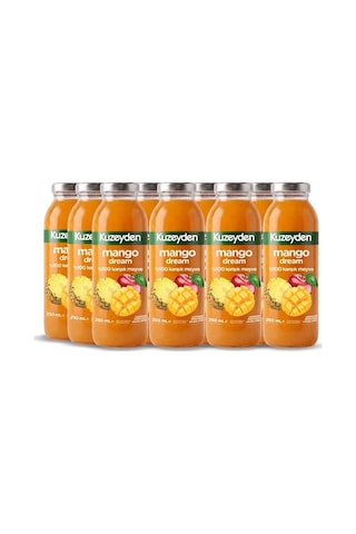 %100 Meyve Mango Dream 12x250ml