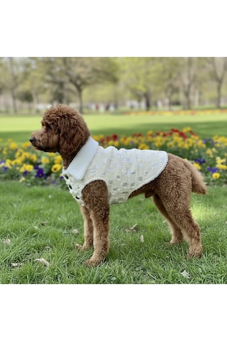 Kedi - Köpek İçi Polarlı Dışı Payetli Kışlık Kot Ceket - Mont - Yağmurluk - Yelek -kıyafet