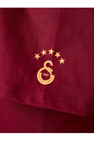 Gsstore Galatasaray Erkek T-shirt E261086 Bordo