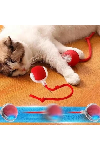 Shineyee 3 Pcs Akıllı Kedi Oyuncağı, Usb Şarjlı, Led Işıklı, 3 Modlu, Otomatik Yuvarlanan Top