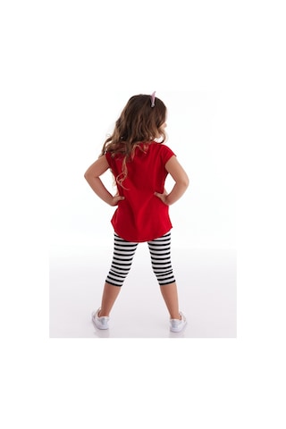 Denokids Mshb&g Meow Pow Kız Tayt Takım Çok Renkli