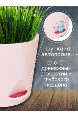 Interm Kaktüsler, Menekşeler Ve Sukulentler İçin Saksı, Otomatik Sulama Sistemi 133195521