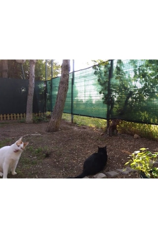 Morilu Gölgelik File - Çit Filesi - 75'Lik Şeritli Halkalı - Yeşil - Gölgelik Tente - Yeşil File - Çit Örtüsü