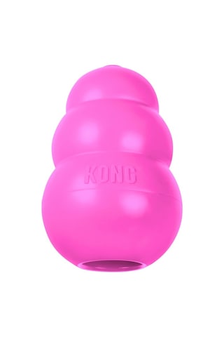 Kong Puppy Küçük Irk Yavru Köpek Isırma Oyuncağı Xs